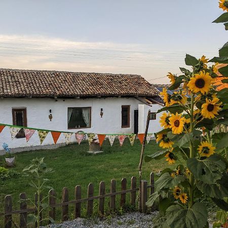 Serendipity Cottage Palamartsa Palamarza Dış mekan fotoğraf
