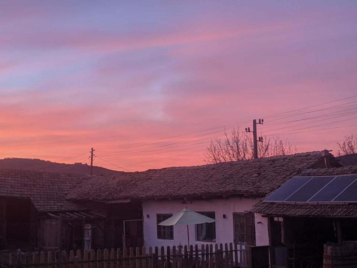 Serendipity Cottage Palamartsa Palamarza Dış mekan fotoğraf