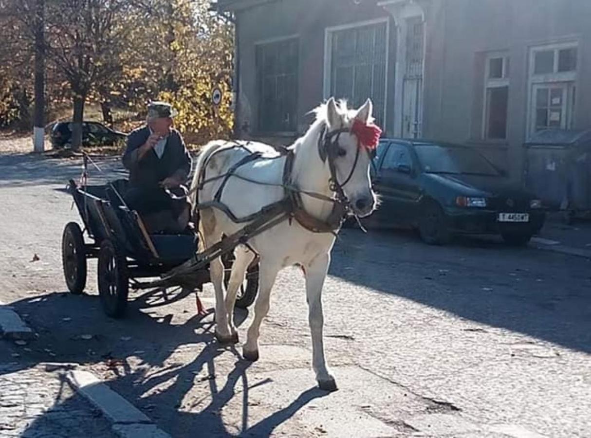 Serendipity Cottage Palamartsa Palamarza Dış mekan fotoğraf