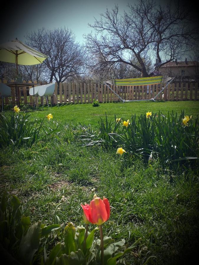 Serendipity Cottage Palamartsa Palamarza Dış mekan fotoğraf