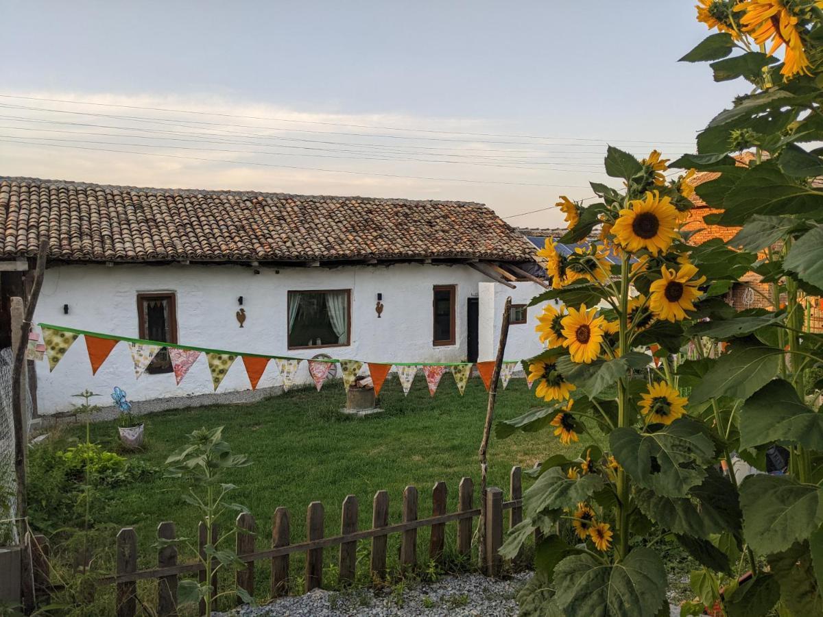 Serendipity Cottage Palamartsa Palamarza Dış mekan fotoğraf